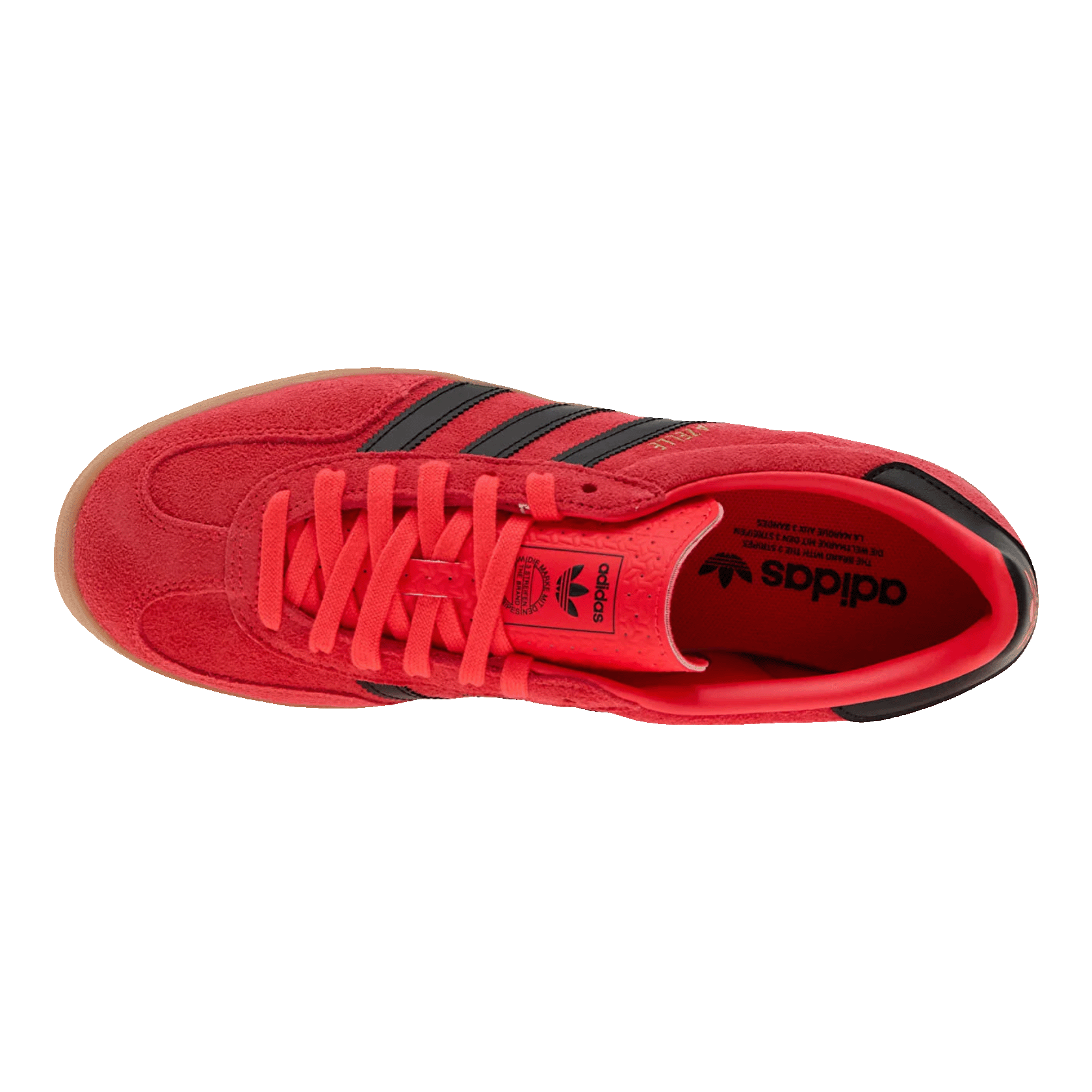 adidas Gazelle Indoor Lucid Red Black Oben