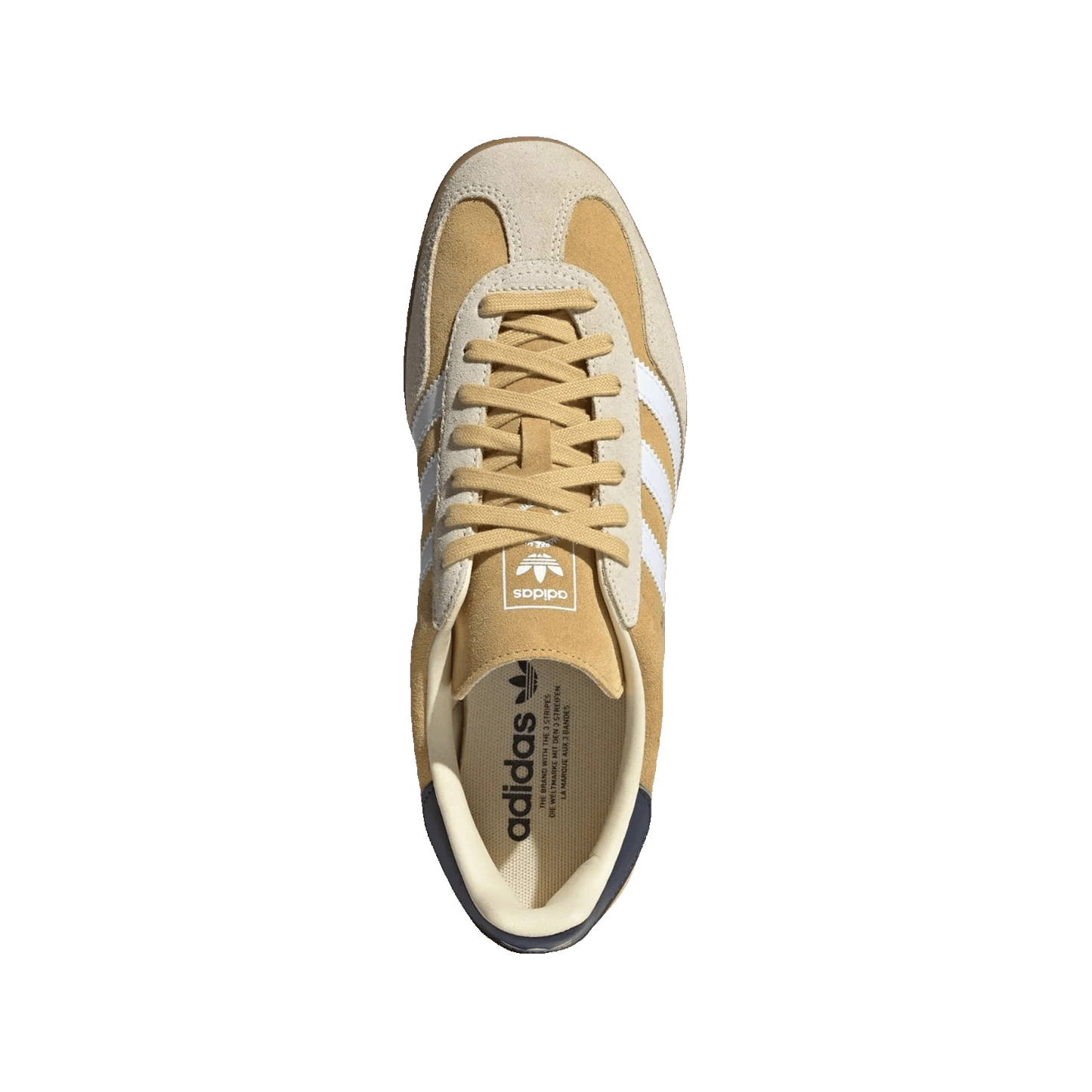 adidas Gazelle Indoor Oat Oben