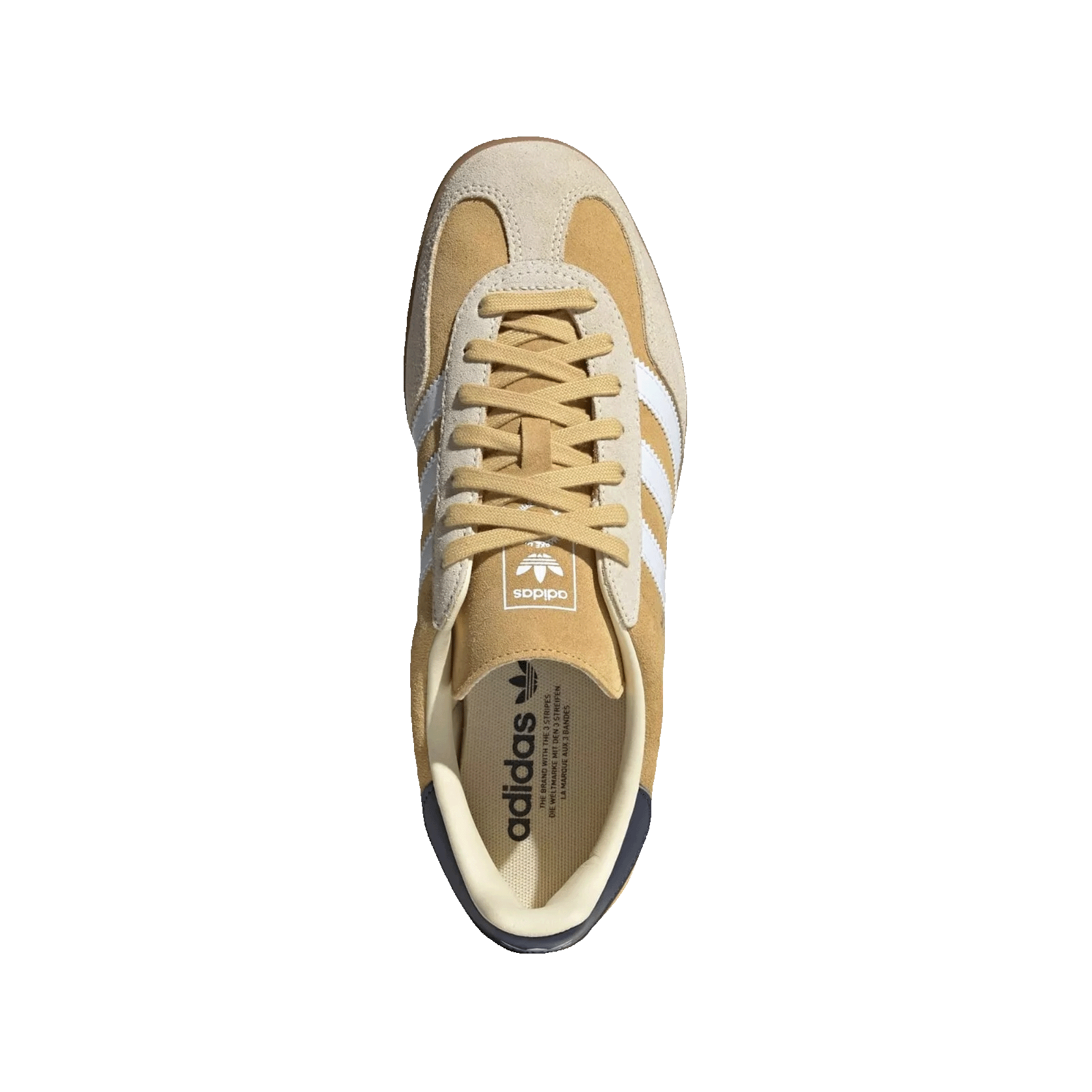 adidas Gazelle Indoor Oat Oben