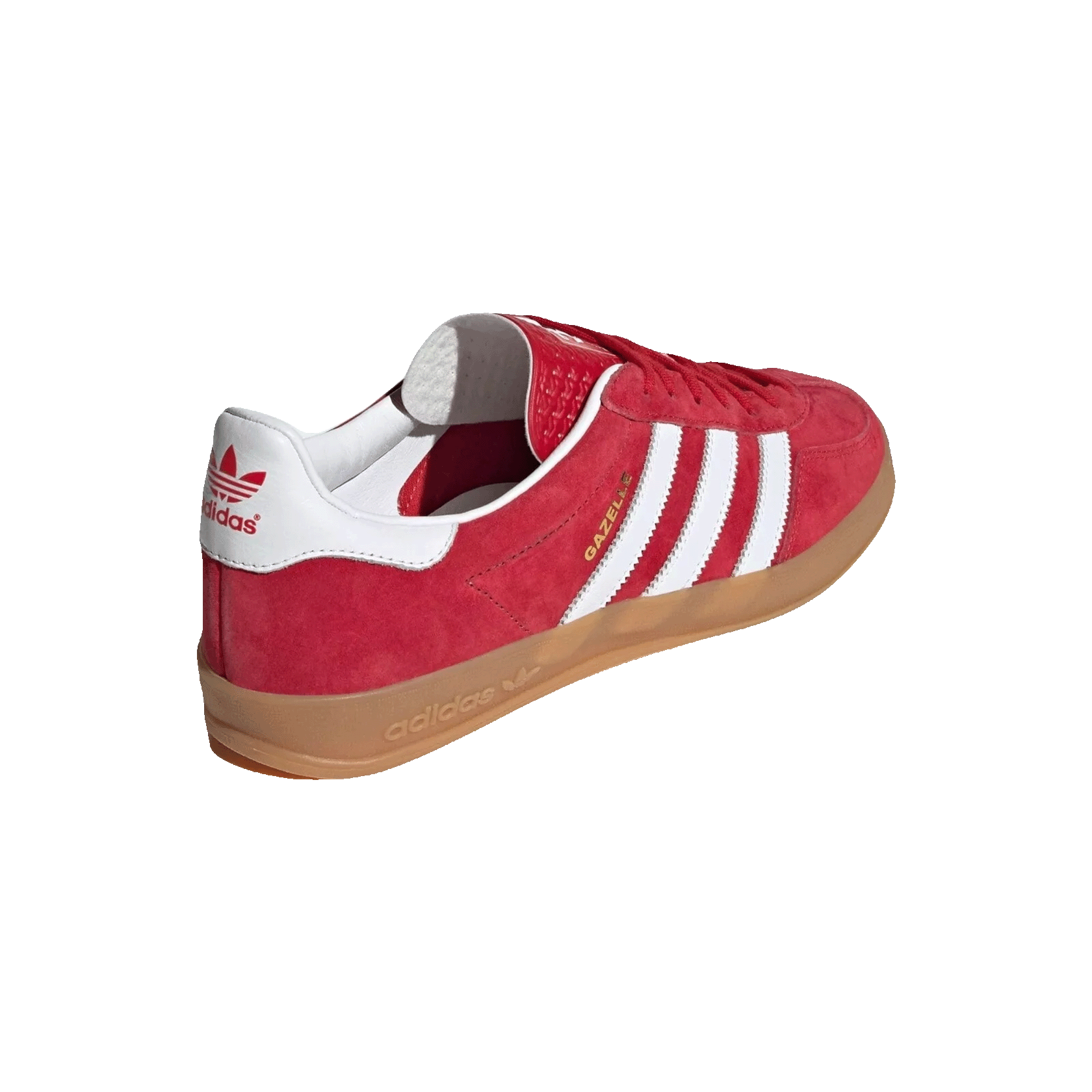 adidas Gazelle Indoor Scarlet Cloud White Back