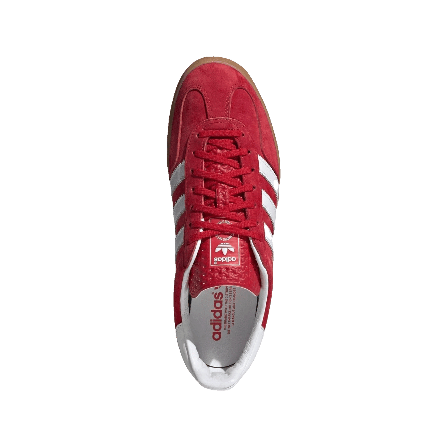 adidas Gazelle Indoor Scarlet Cloud White Oben
