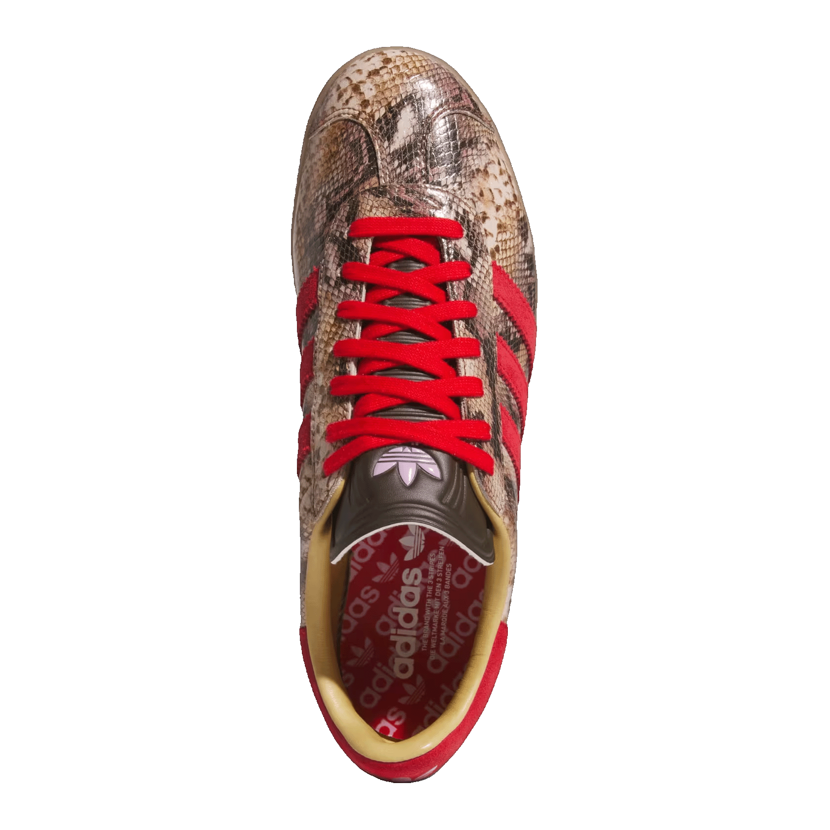 adidas Gazelle Lux Spikeless Golf Snakeskin Preloved Brown Better Scarlet Oben