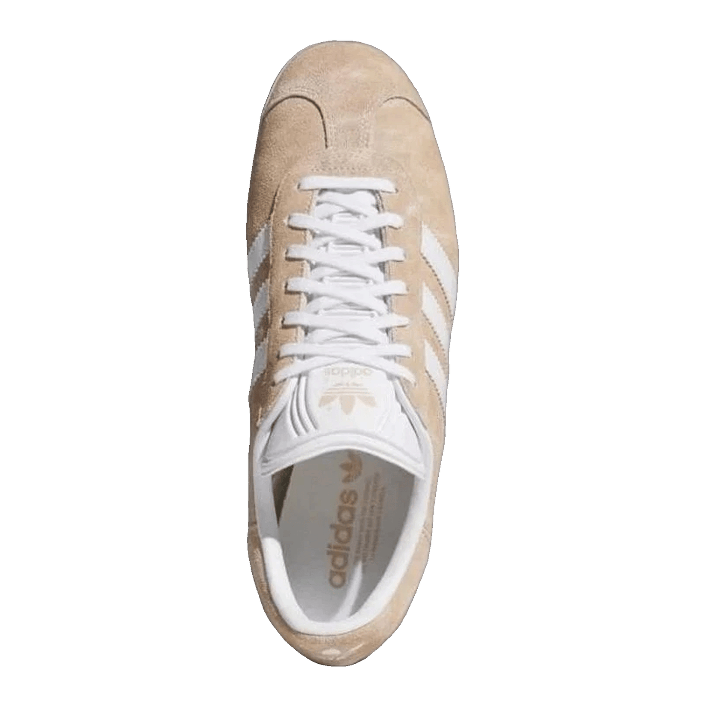 adidas Gazelle Magic Beige Cloud White Oben IH9865