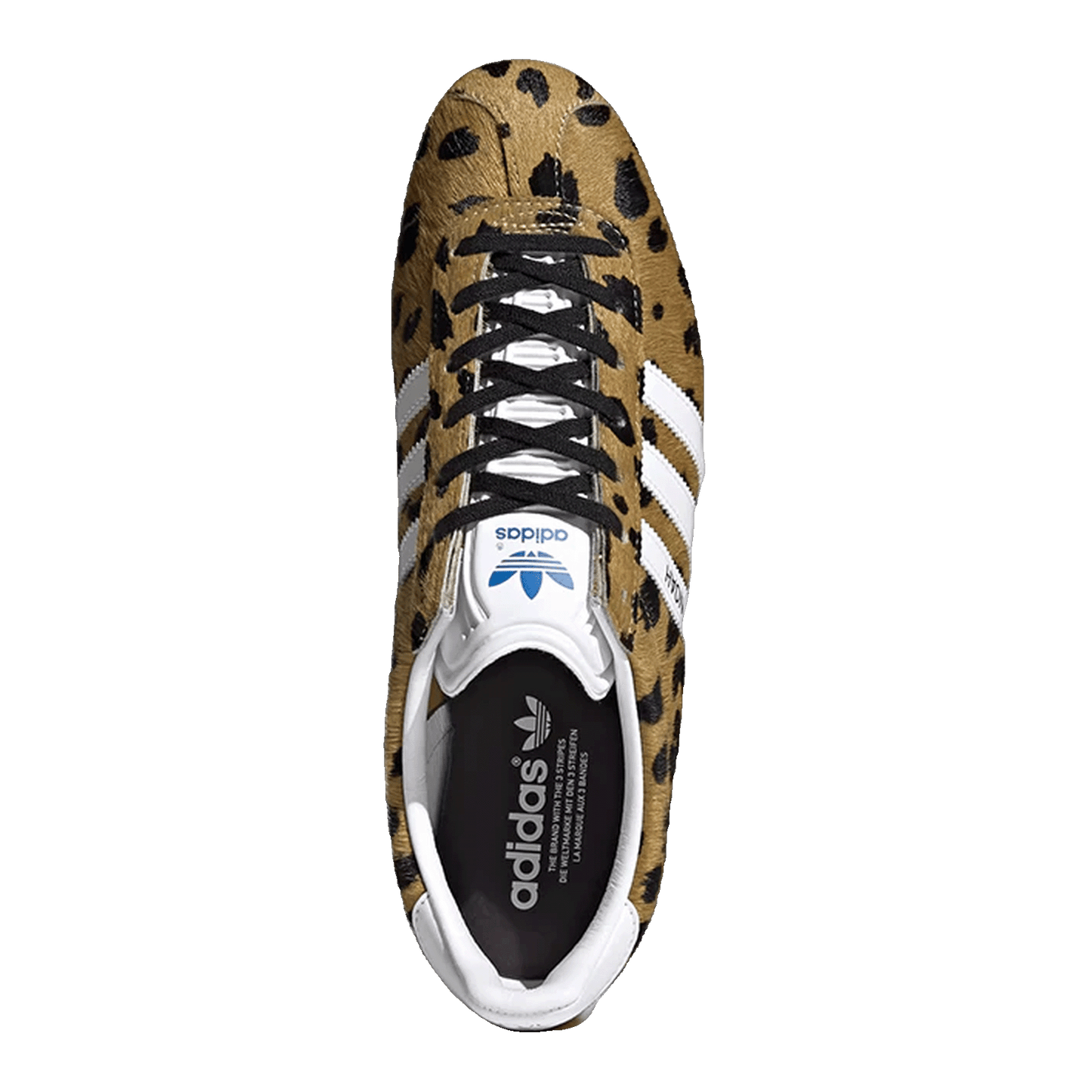 adidas Gazelle NOAH Cheetah Oben