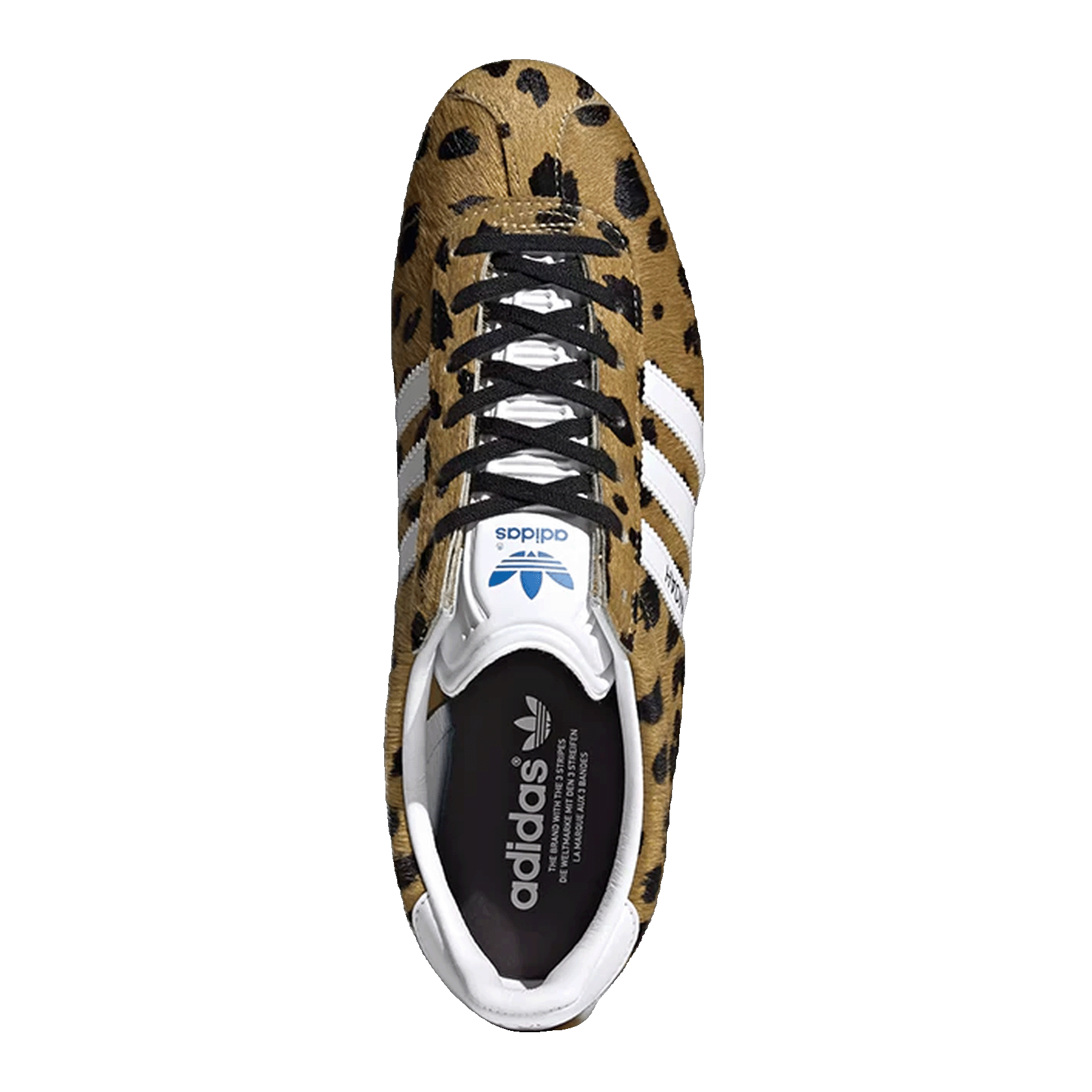 adidas Gazelle NOAH Cheetah Oben