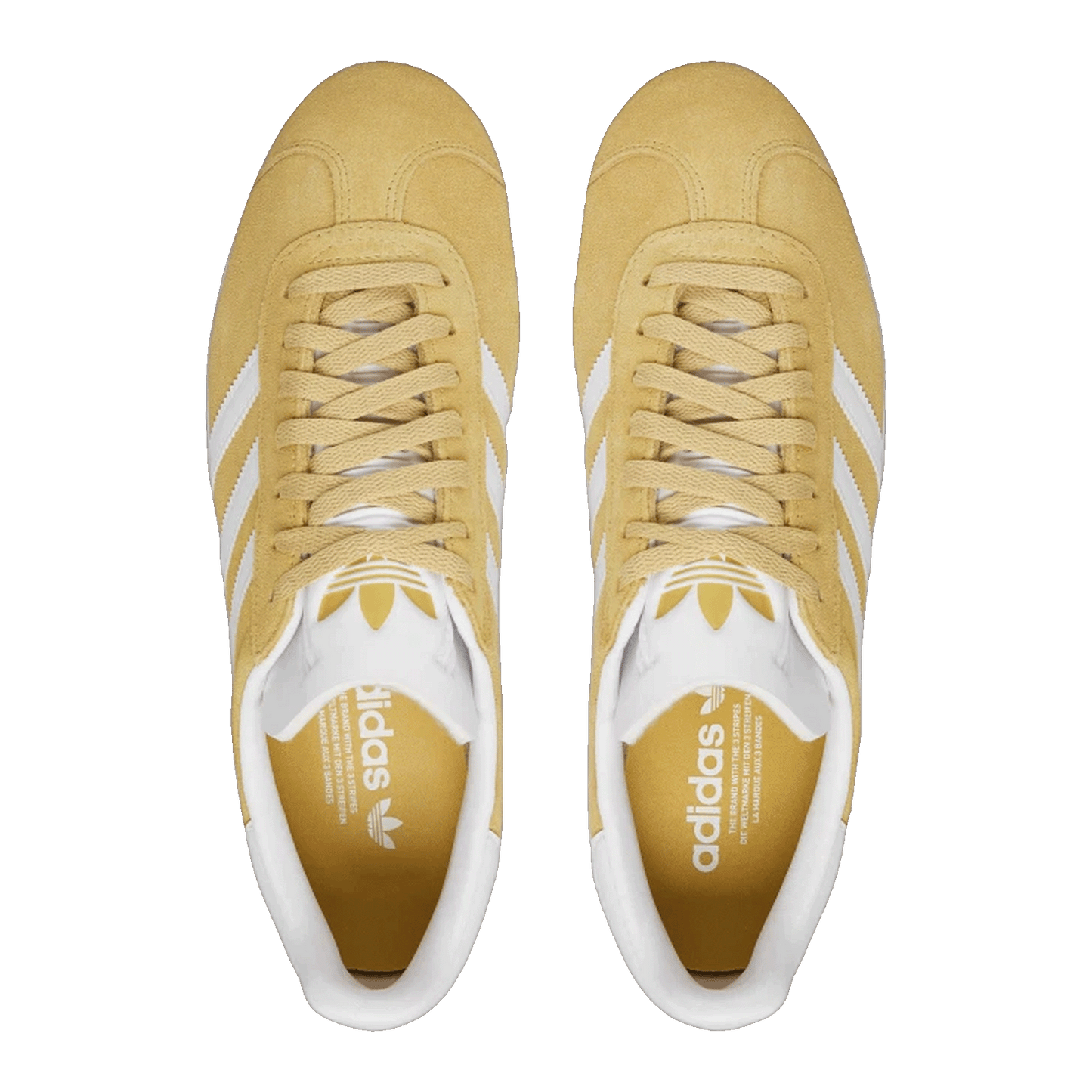 adidas Gazelle Oat Cloud White Gold Metallic Oben JH5382