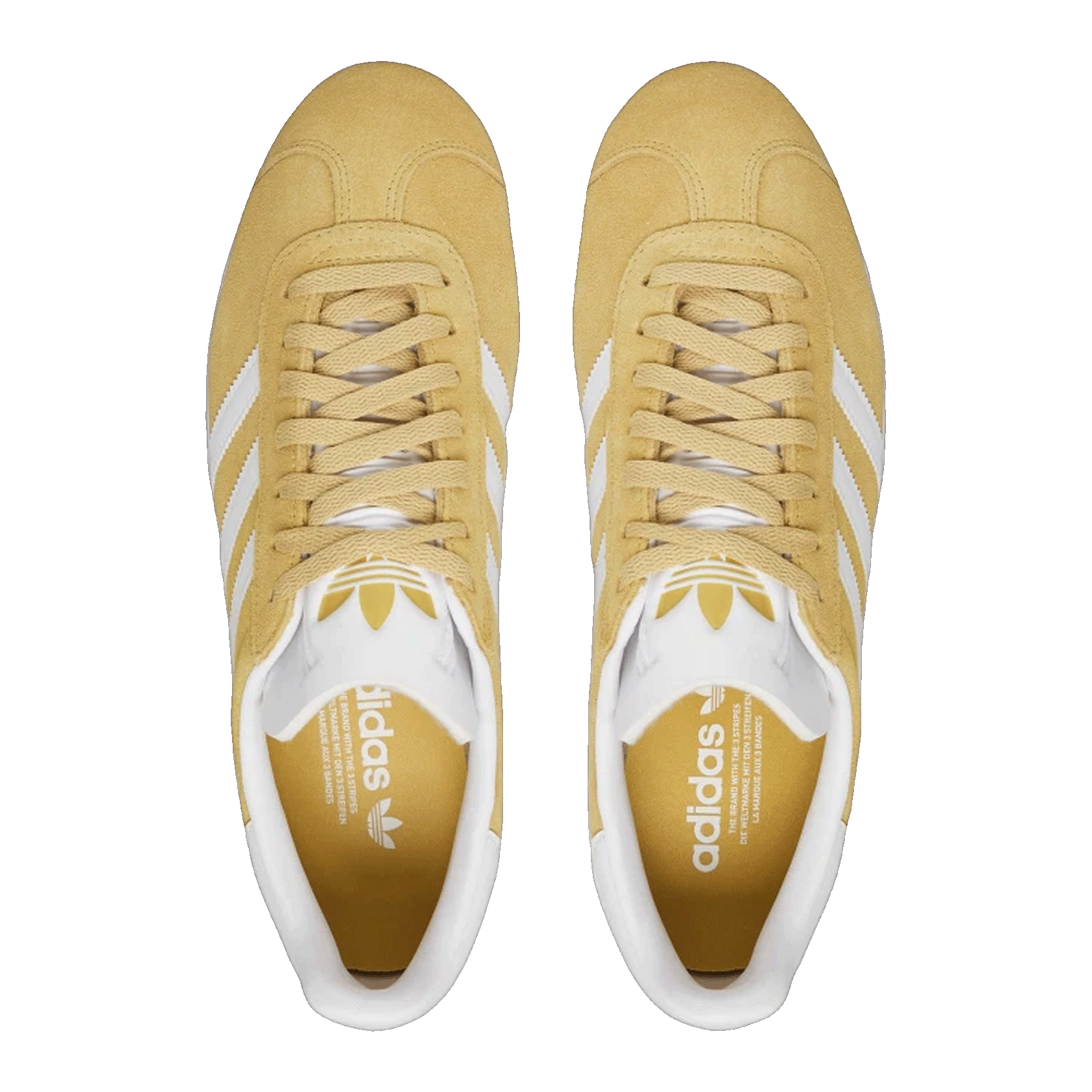 adidas Gazelle Oat Cloud White Gold Metallic Oben JH5382