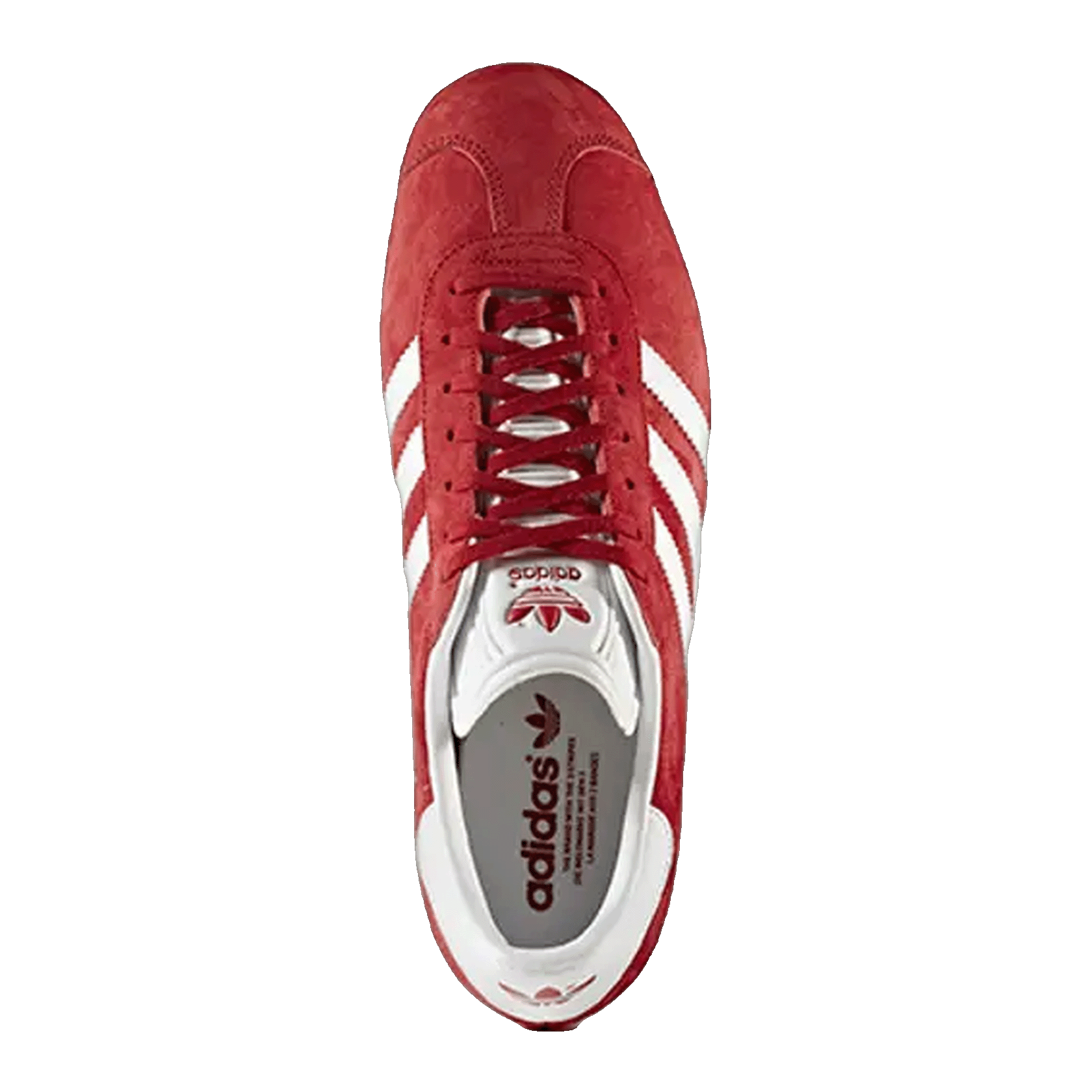 adidas Gazelle Power Red Oben BB5486