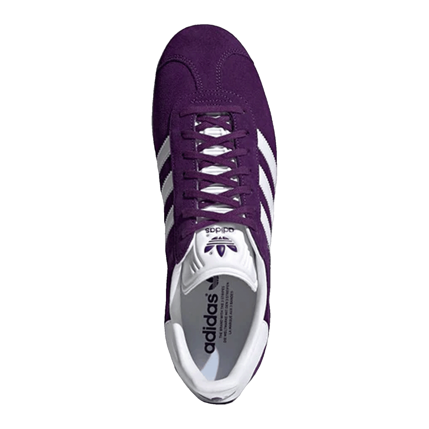 adidas Gazelle Rich Purple Oben FX5496