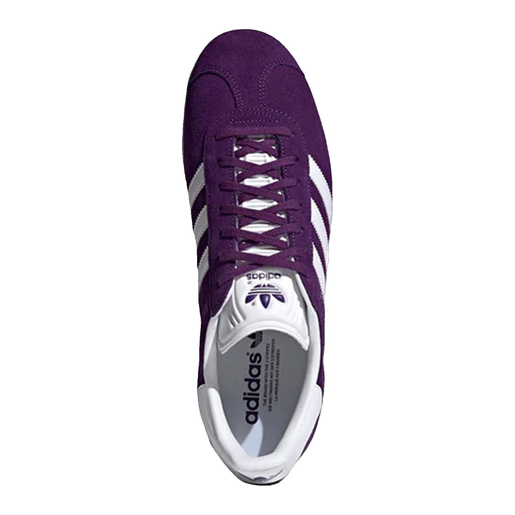 adidas Gazelle Rich Purple Oben FX5496