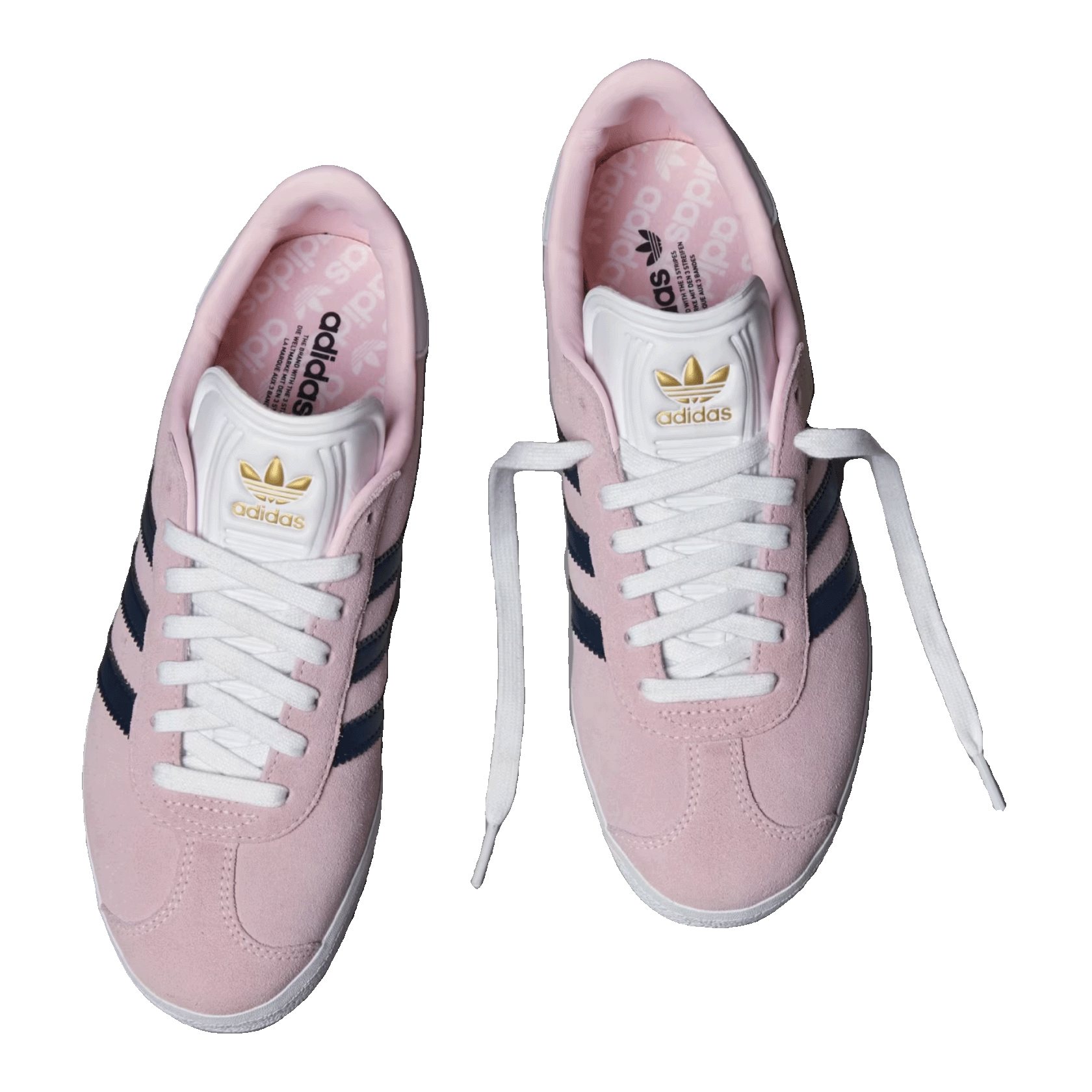 adidas Gazelle Spikeless Golf Clear Pink Night Indigo (W) Oben