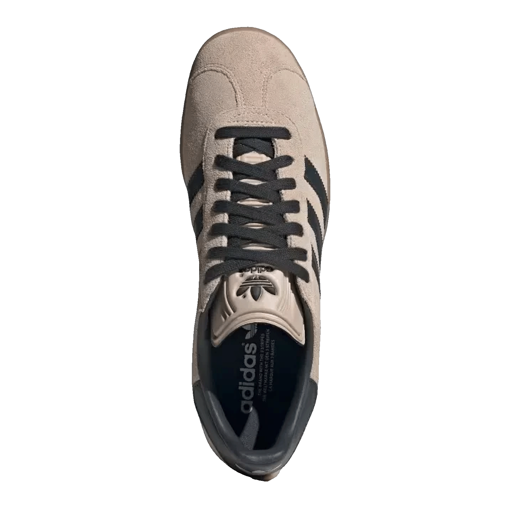 adidas Gazelle Wonder Taupe Night Indigo Oben IG6199