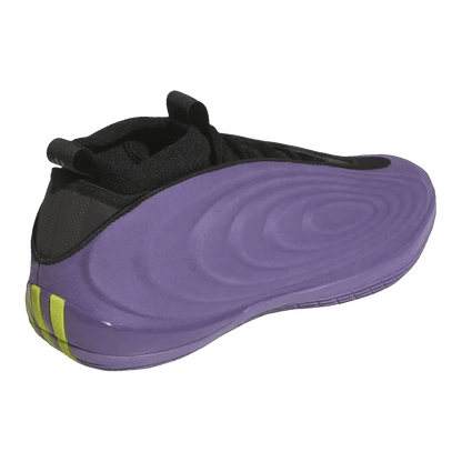 adidas Harden Vol. 10 Matte Purple Back JQ9426