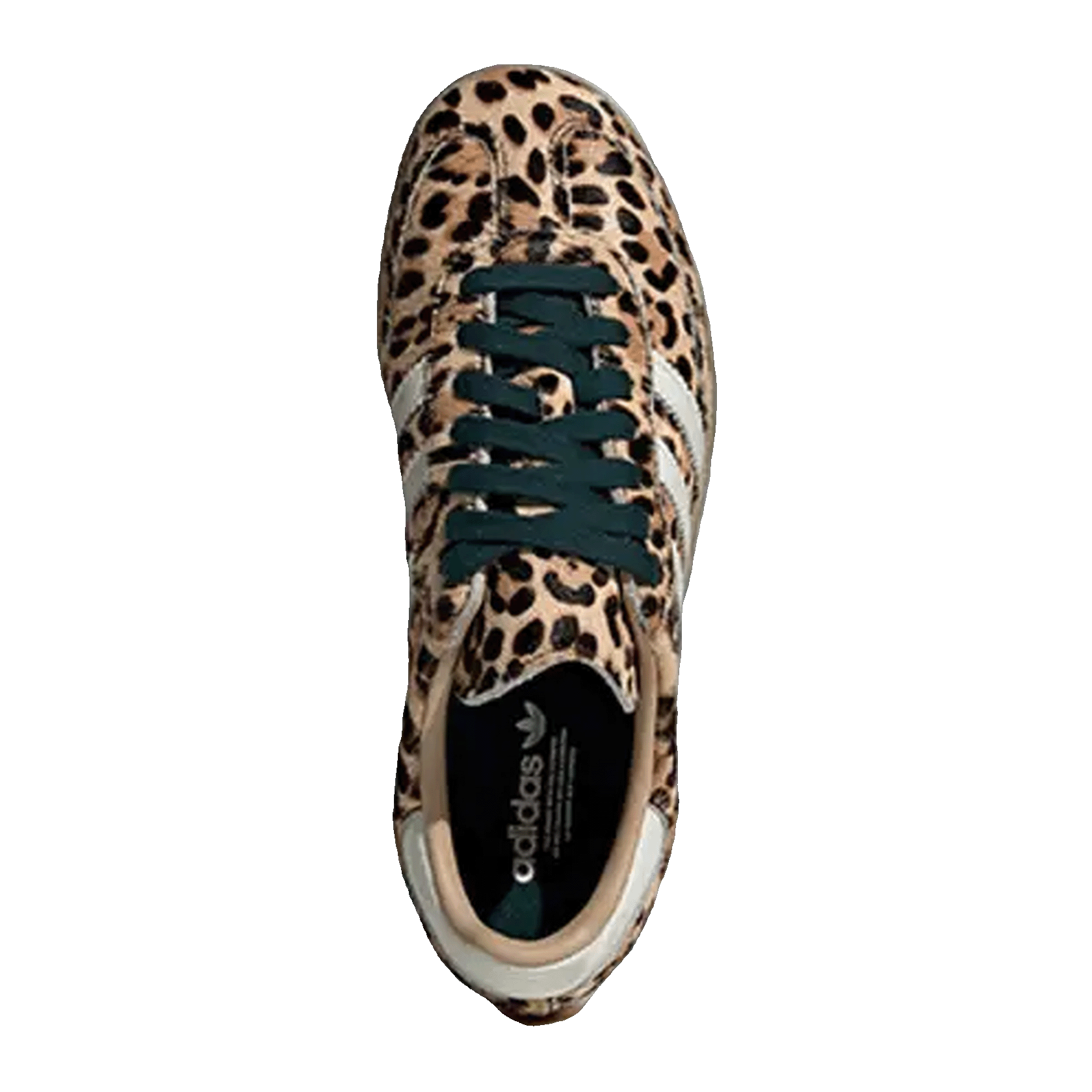 adidas Samba OG Leopard Magic Beige (W) Oben KI6674