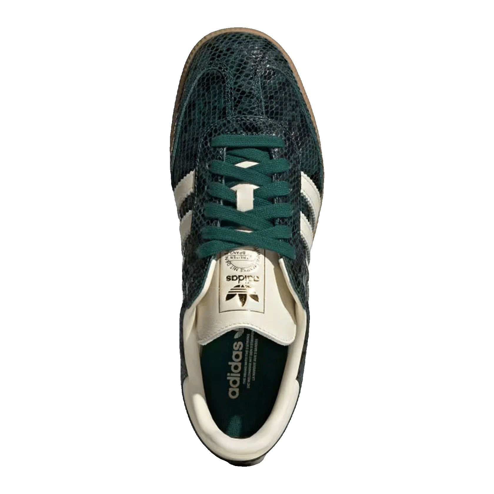 adidas Samba OG Snakeskin Collegiate Green (W) Oben