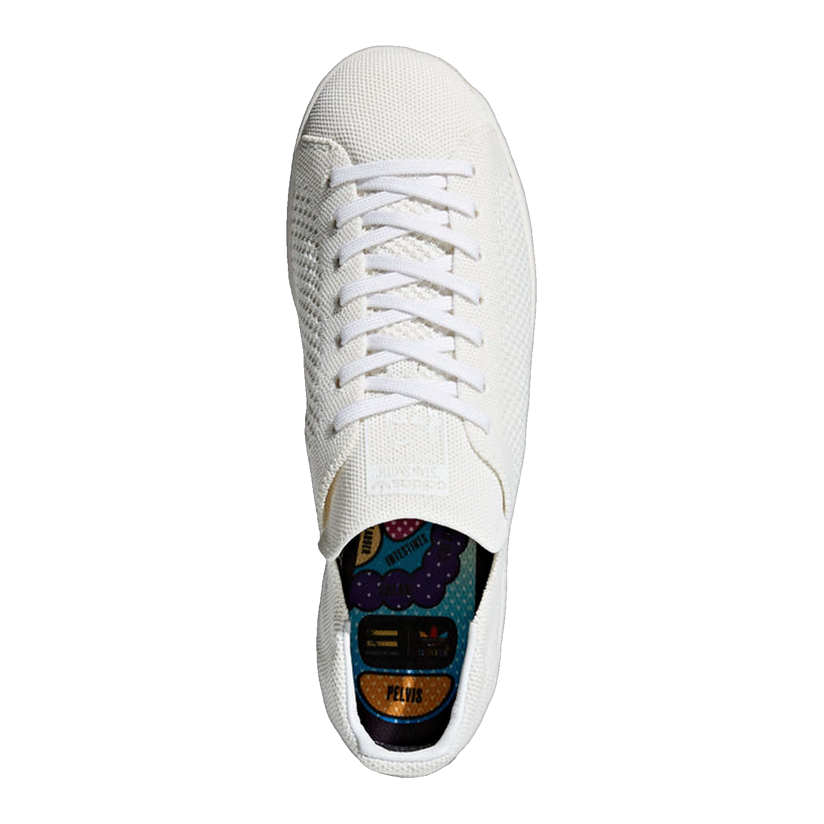 adidas Stan Smith Pharrell Blank Canvas Oben