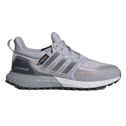 adidas Ultra Boost 1.0 ATR Glory Grey Powder Plum (W) JQ6007