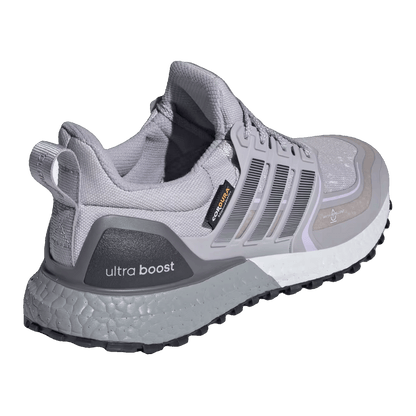 adidas Ultra Boost 1.0 ATR Glory Grey Powder Plum (W) Back JQ6007