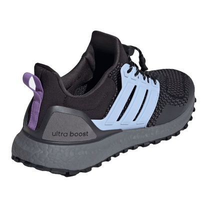 adidas Ultra Boost 1.0 Core Black Blue Dawn Carbon (W) Back ID9640