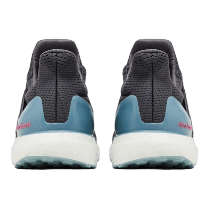 adidas Ultra Boost 1.0 Grey Pink Fusion (W) Back