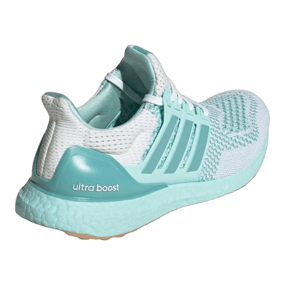 adidas Ultra Boost 1.0 Mint Ton (W) Back JR3373