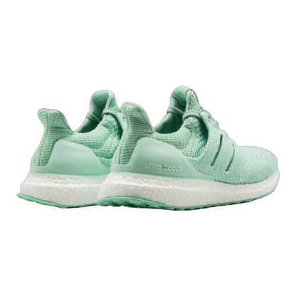 adidas Ultra Boost 1.0 Naked Waves Pack Back BB1141