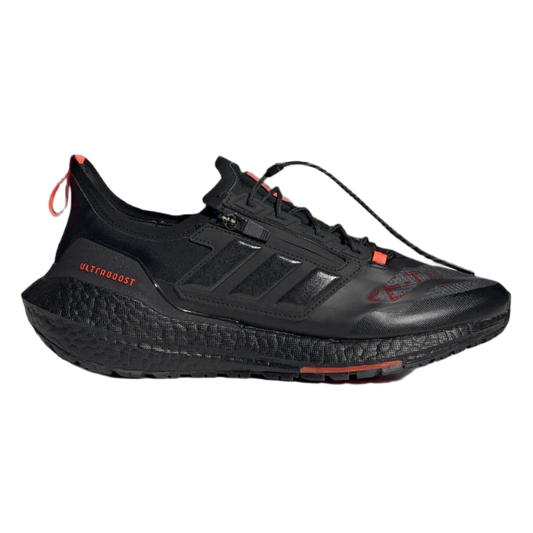 adidas Ultra Boost 21 Gore-Tex Carbon FZ2555
