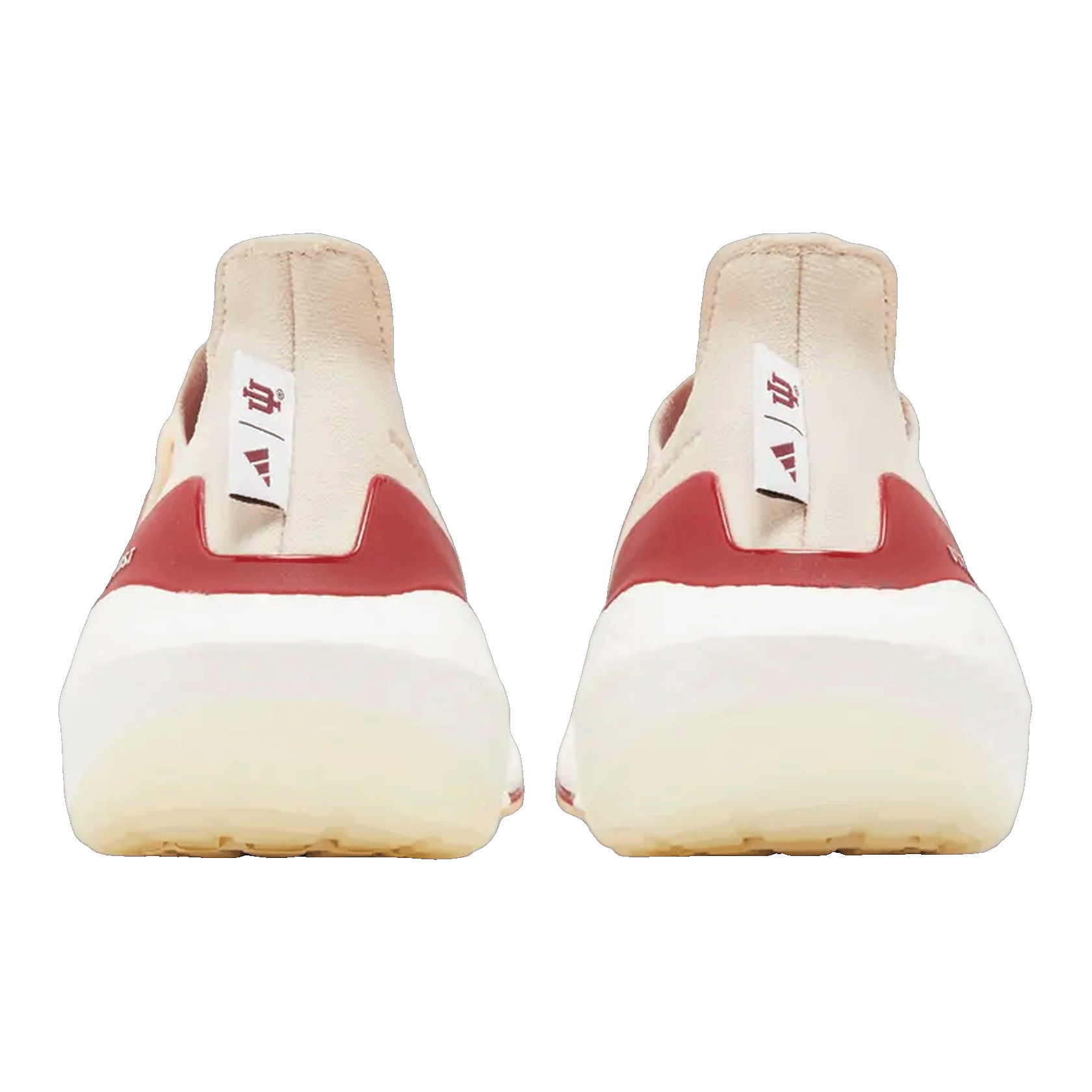 adidas Ultra Boost 21 Indiana Back GX7970