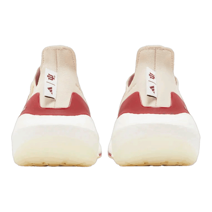adidas Ultra Boost 21 Indiana Back GX7970