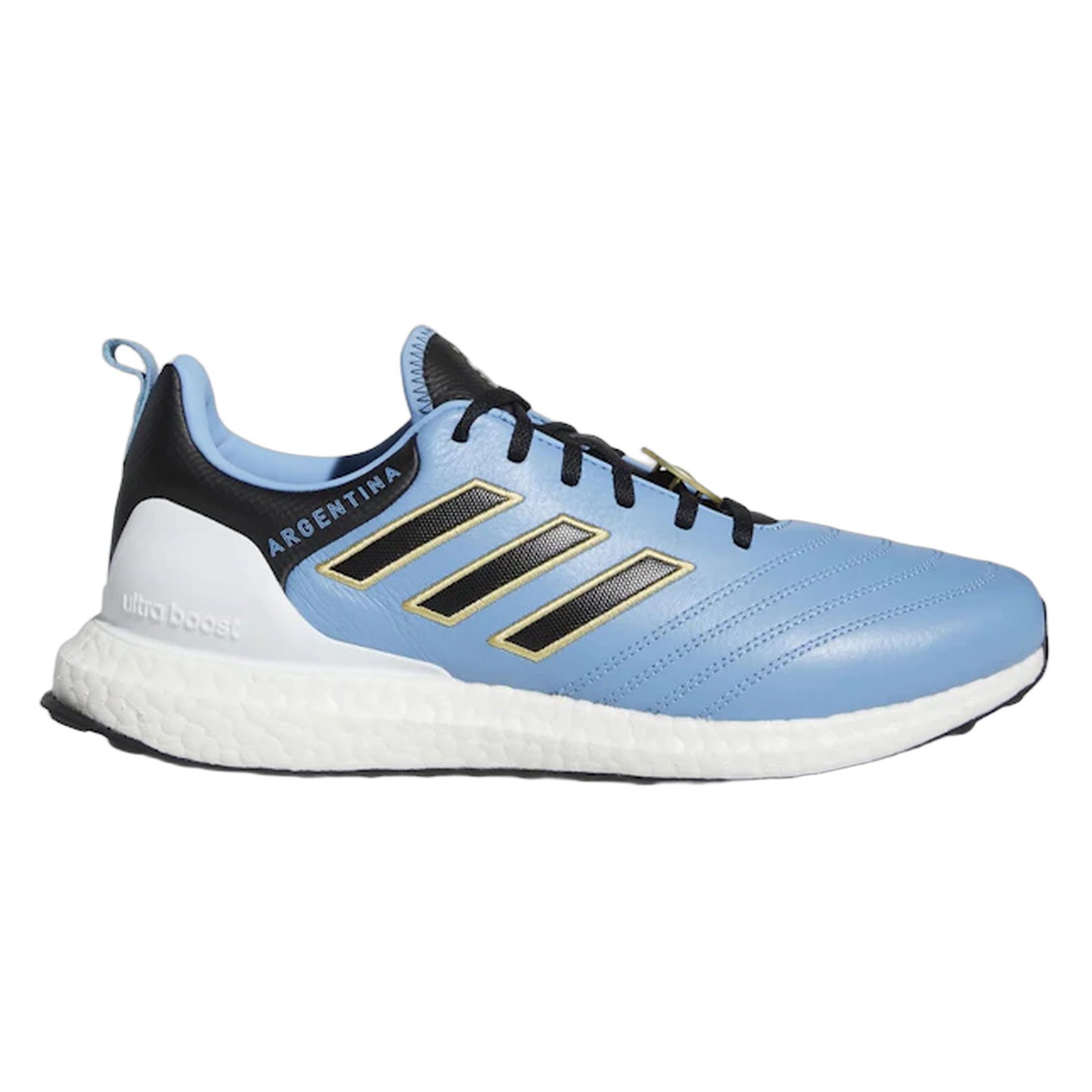 adidas Ultra Boost DNA Copa World Cup Argentina GW7267