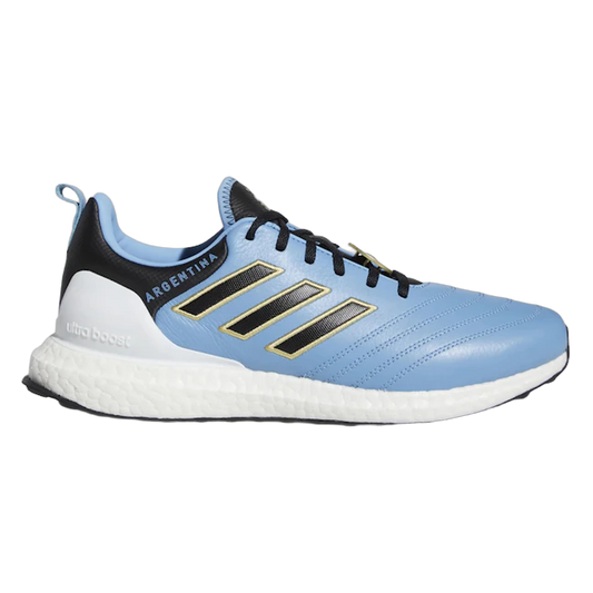 adidas Ultra Boost DNA Copa World Cup Argentina GW7267
