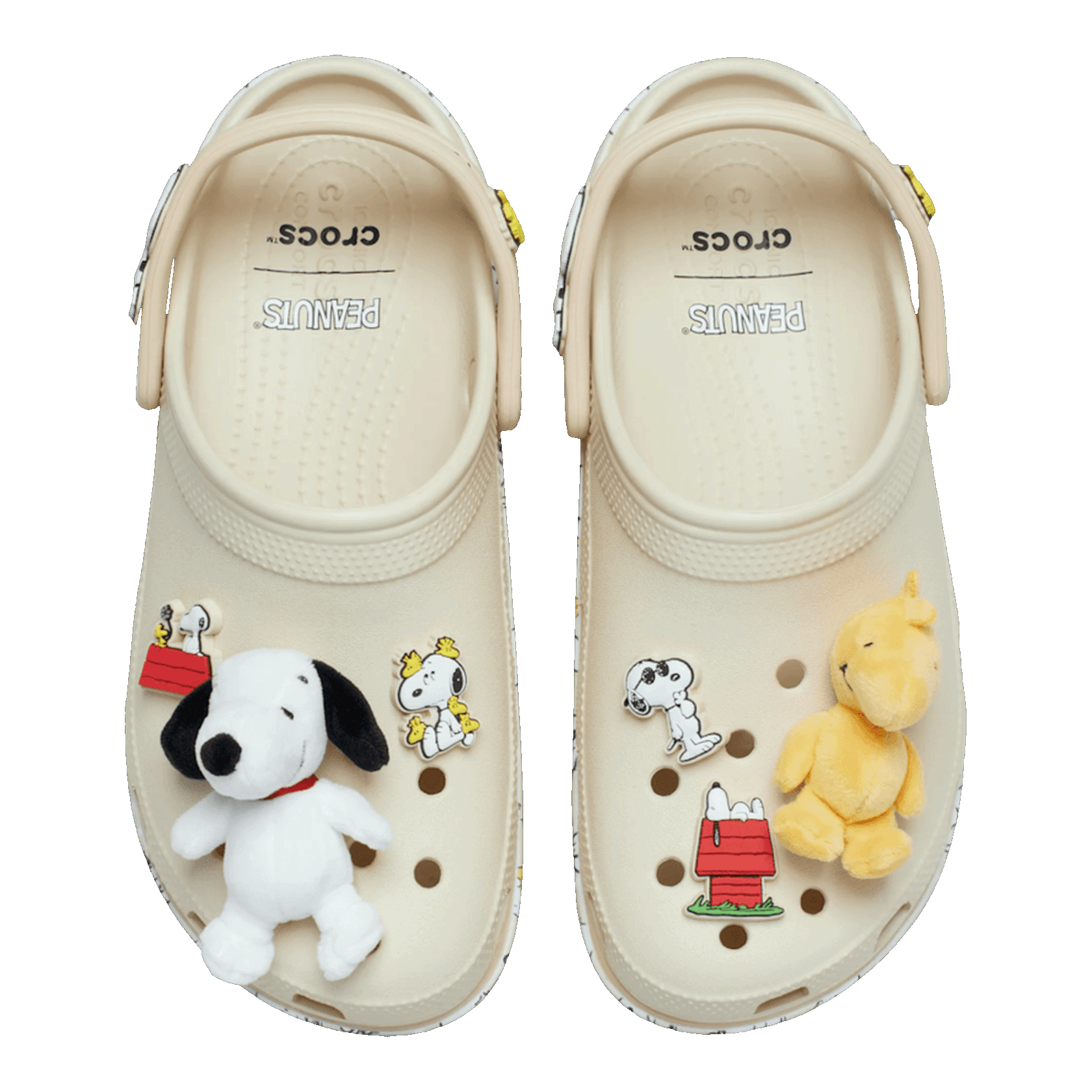 Crocs Classic Platform Clog Peanuts (W) Oben 212118-90H