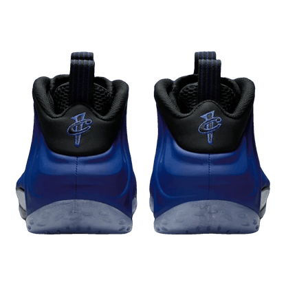 Nike Air Foamposite One Deep Royal Back HJ5195-400