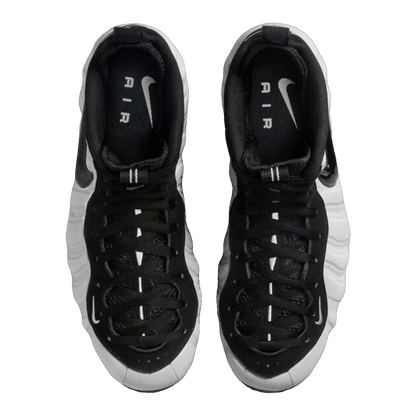 Nike Air Foamposite Pro Wolf Grey Oben HF0794-001