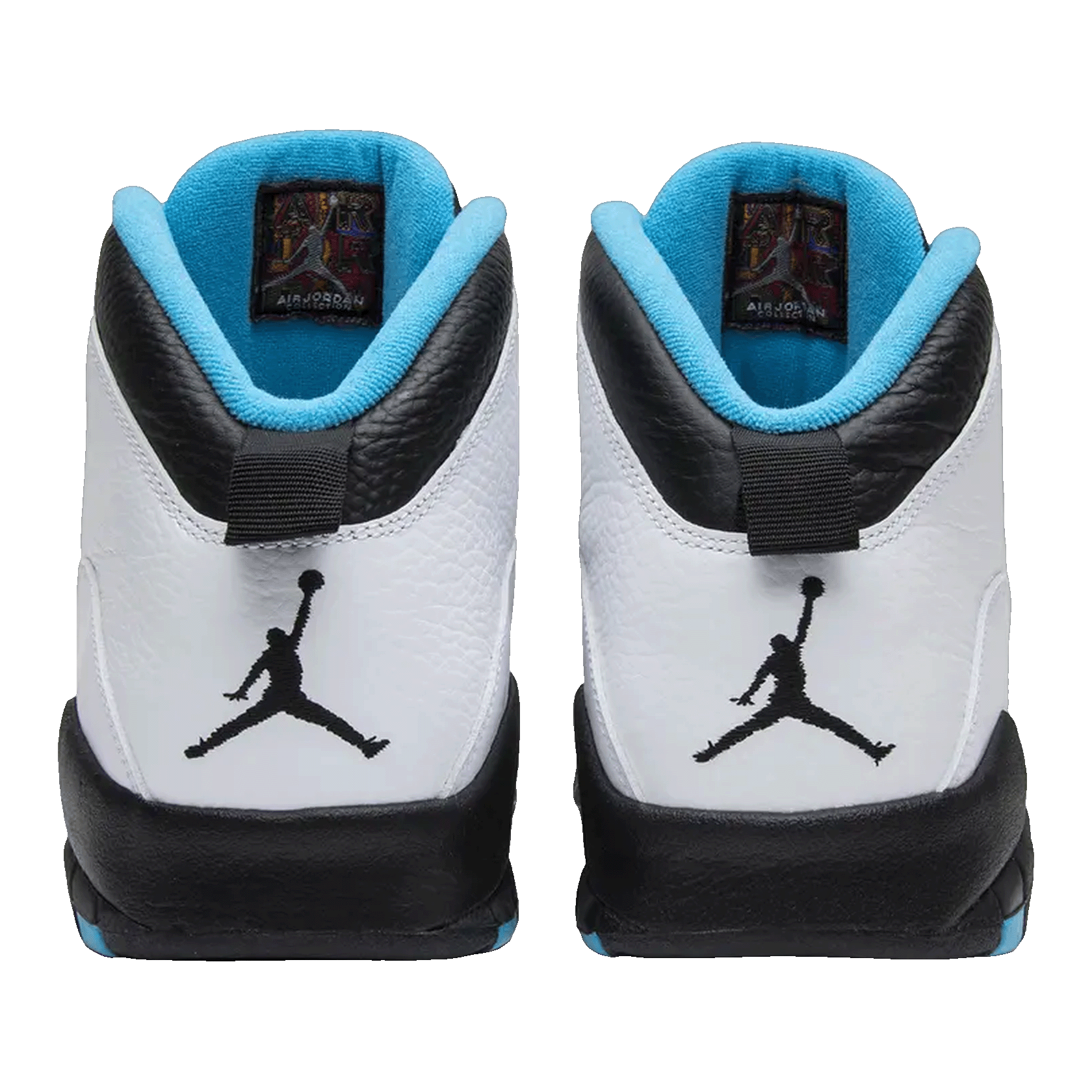 Nike Air Jordan 10 Retro Powder (2014) Back 310805-106