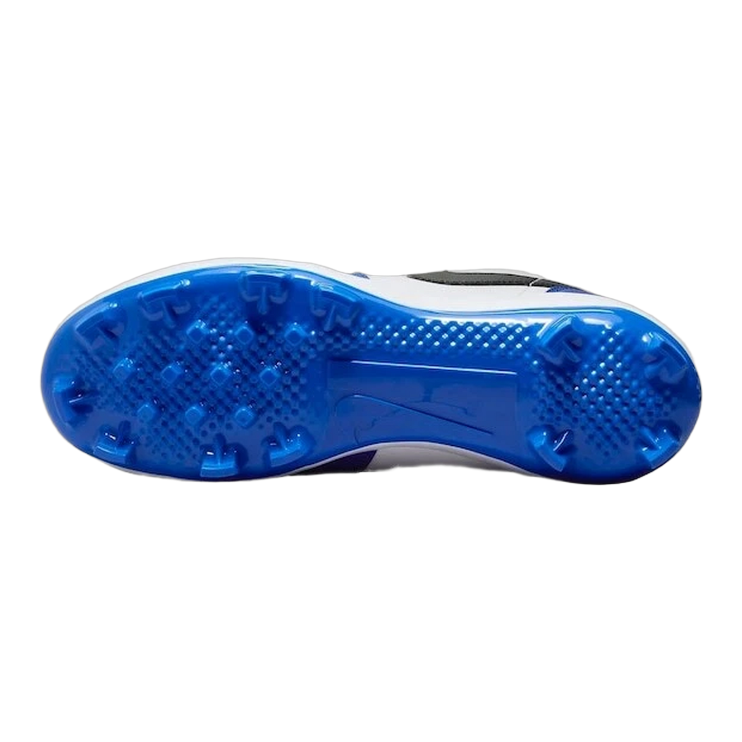 Nike Air Jordan 1 Retro MCS Low Game Royal Sohle CJ8524-411