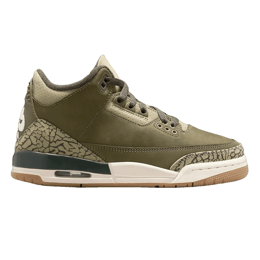 Nike Air Jordan 3 Retro Family Affair DN3707-202