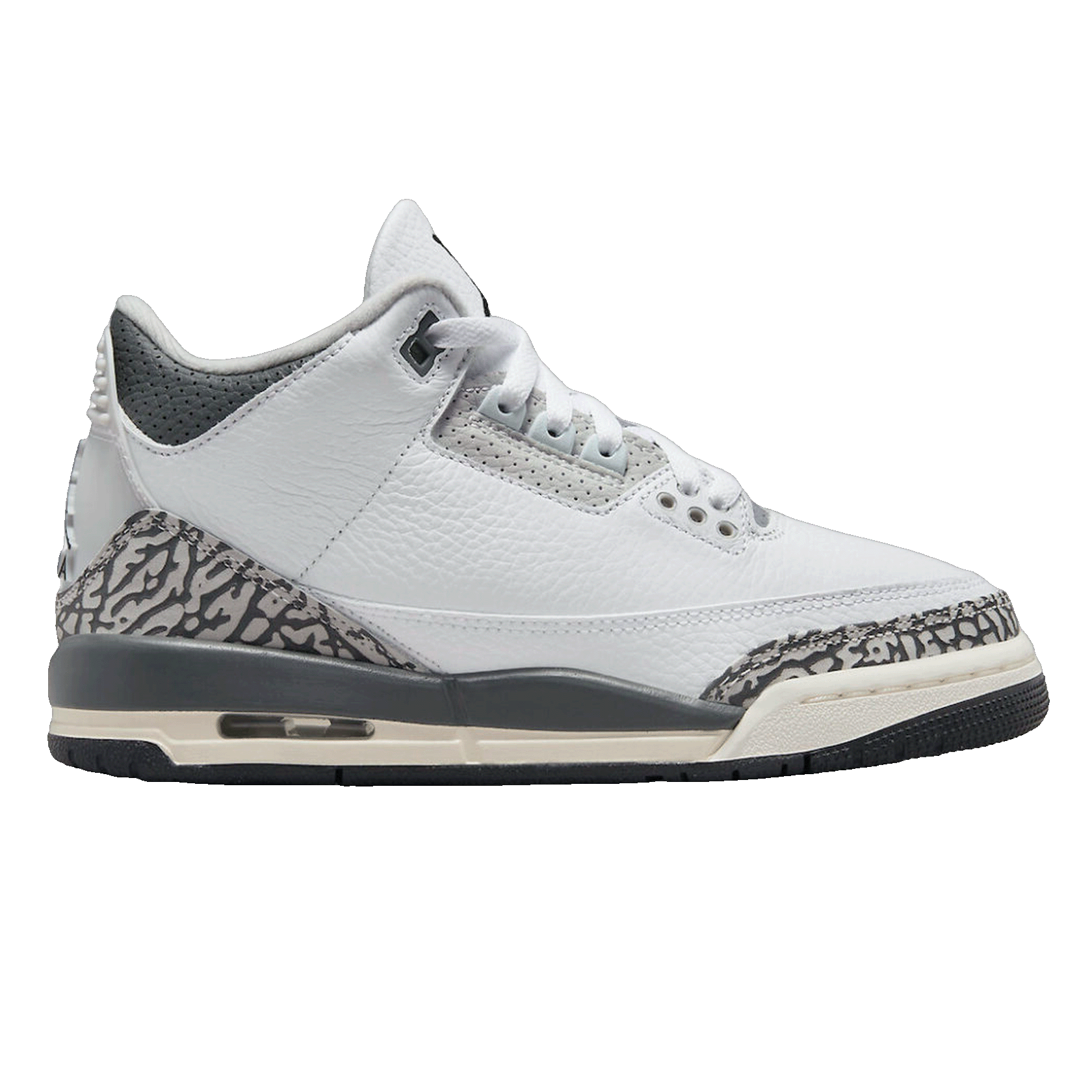 Nike Air Jordan 3 Retro Hide N' Sneak (GS) DX6665-100