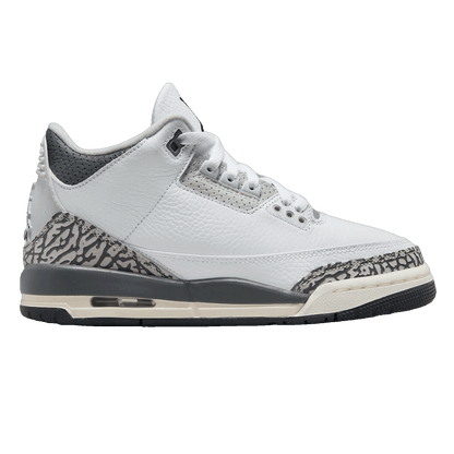 Nike Air Jordan 3 Retro Hide N' Sneak (GS) DX6665-100