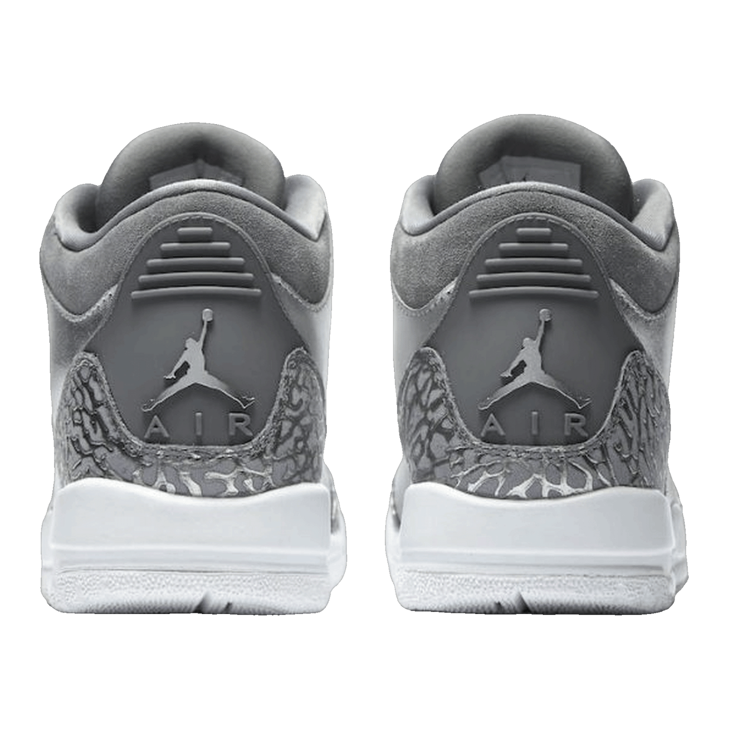 Nike Air Jordan 3 Retro Premium Heiress Metallic Silver (GS) Back AA1243-020
