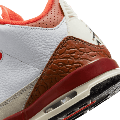 Nike Air Jordan 3 Retro SE Dunk on Mars (GS) Back 2