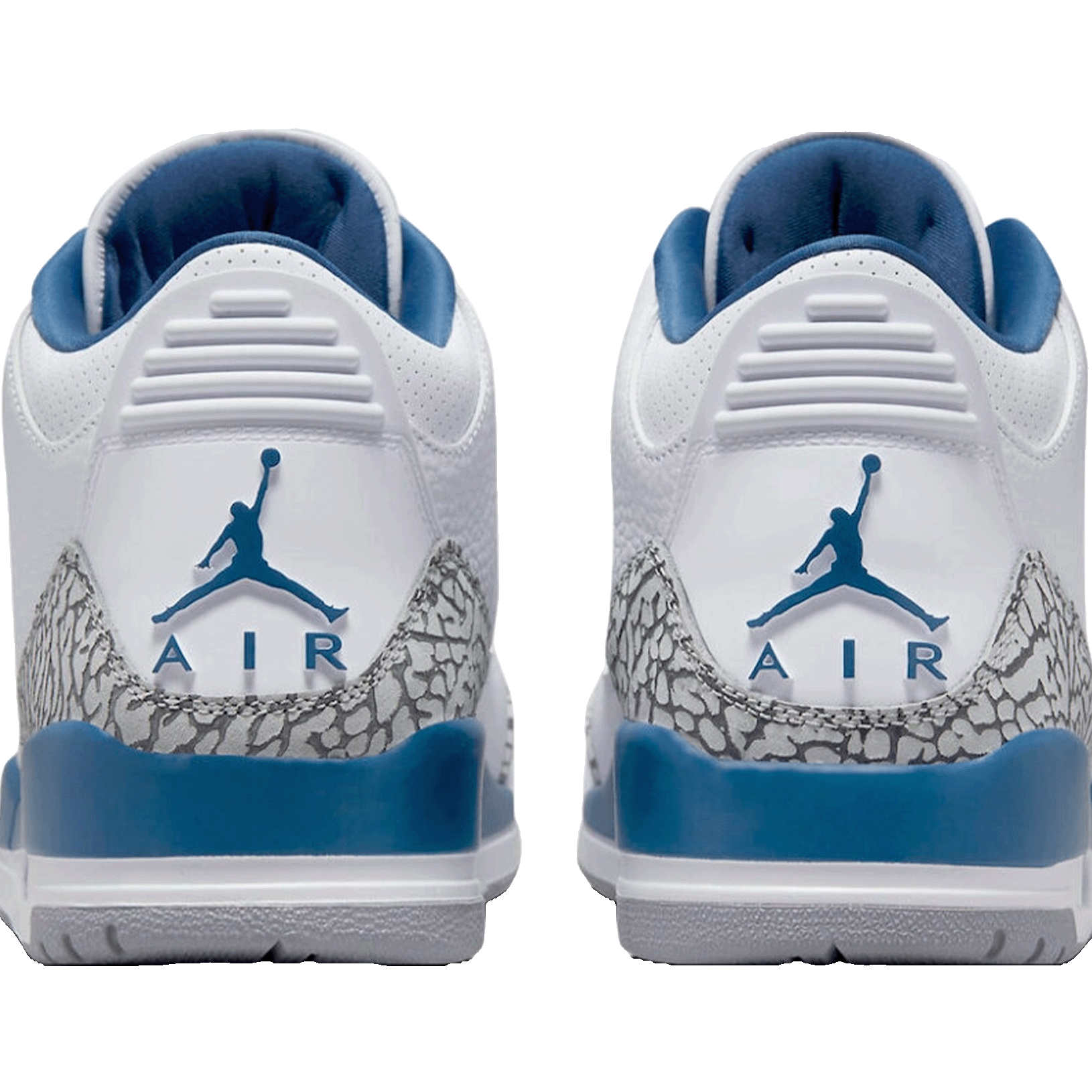 Nike Air Jordan 3 Retro Wizards Back