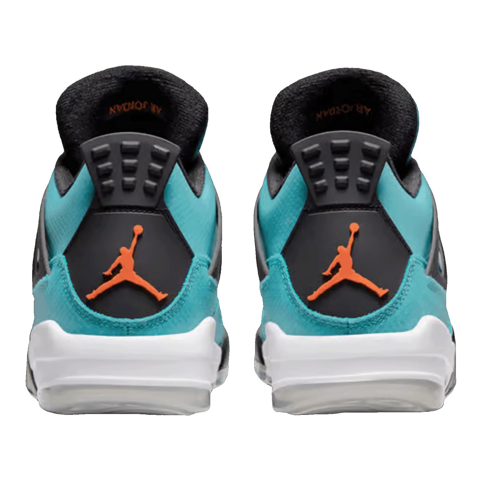 Nike Air Jordan 4 Retro Golf US Open Torrey Pines Pack ACG Back
