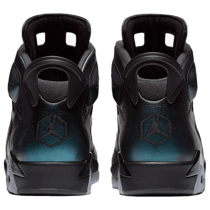 Nike Air Jordan 6 Retro All-Star Chameleon (2017) Back