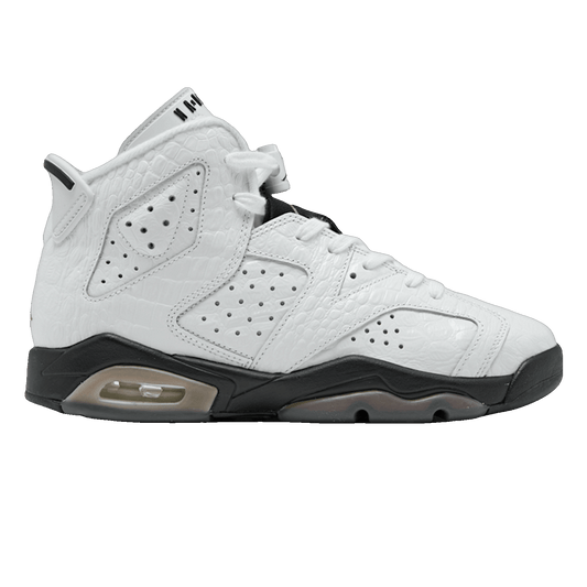 Nike Air Jordan 6 Retro Alligator (GS) 384665-110