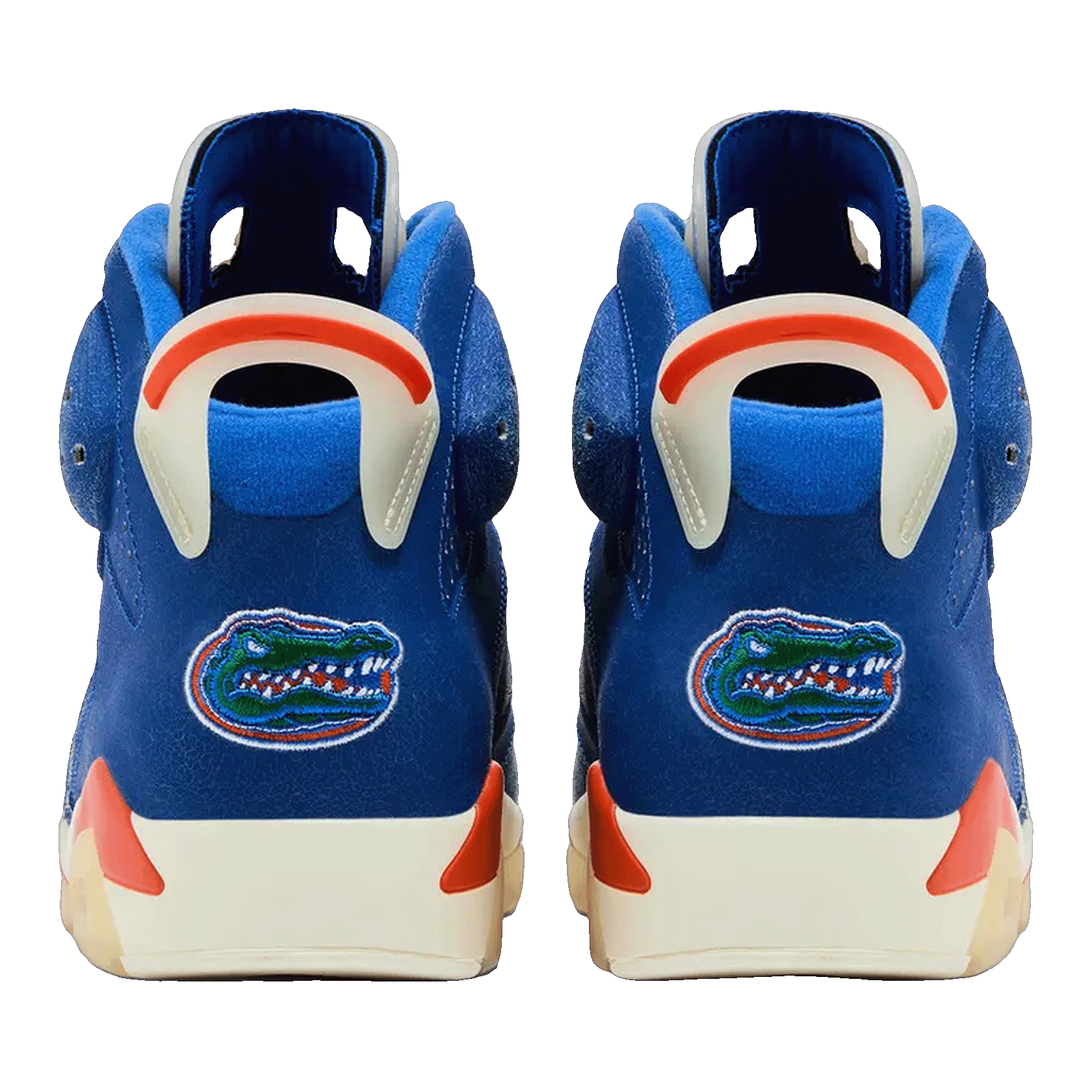 Nike Air Jordan 6 Retro Florida Gators PE Back DV3977-1207708