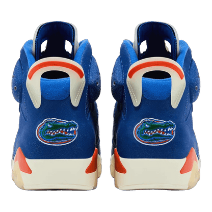 Nike Air Jordan 6 Retro Florida Gators PE Back DV3977-1207708