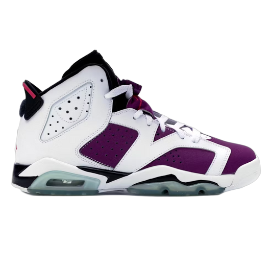 Nike Air Jordan 6 Retro Grape (GS) 543390-127