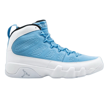 Nike Air Jordan 9 Retro For the Love of The Game 302370 401
