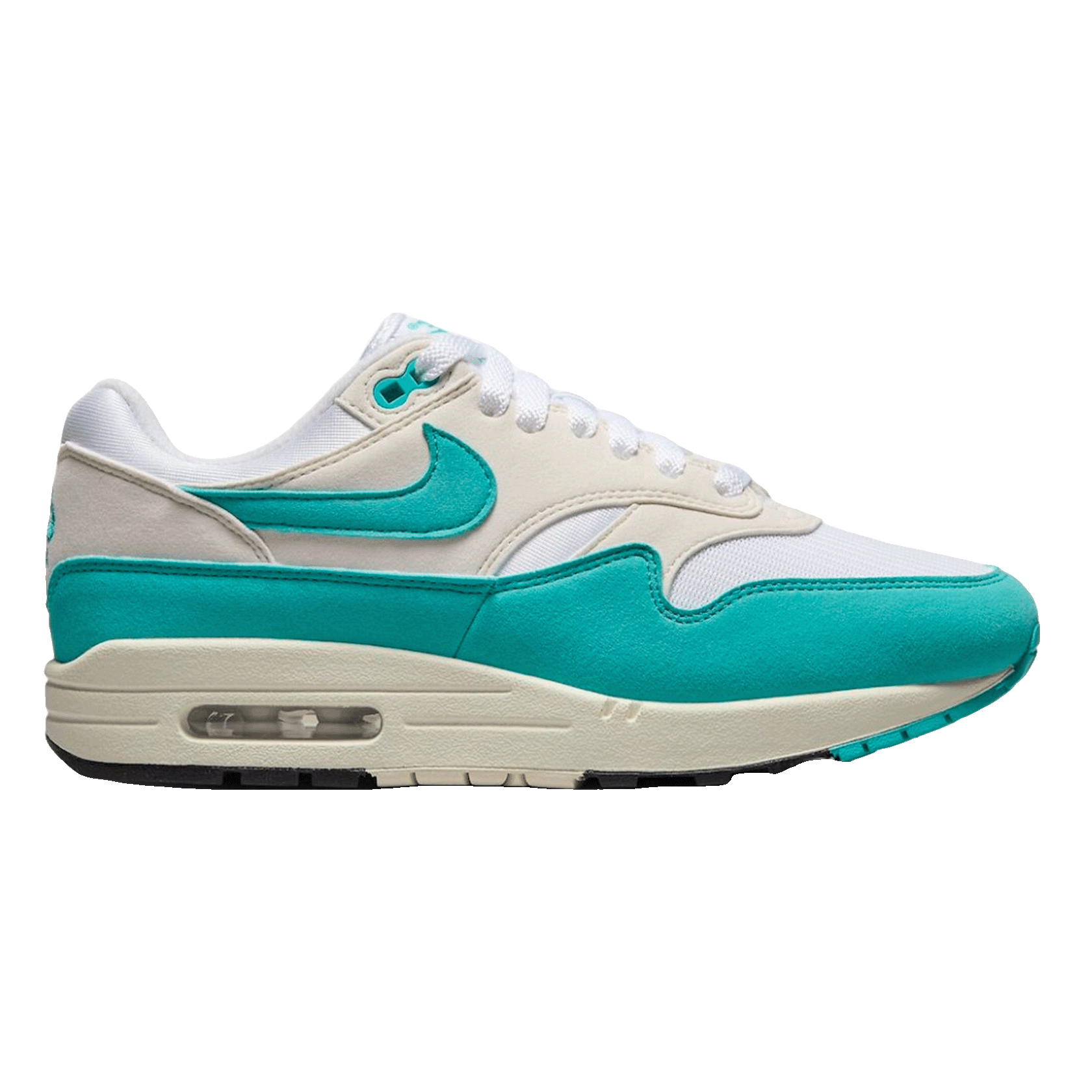 Nike Air Max 1 Dusty Cactus (W)